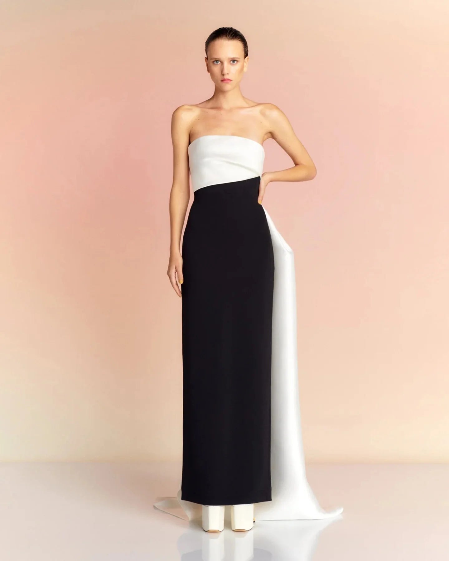 Elegant Evening Dress